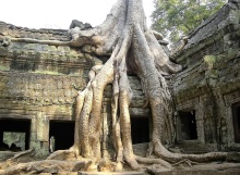 ruin-1737360_1280-cambodgia-angkor wat